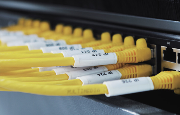 Systematic organization in structured cabling networks