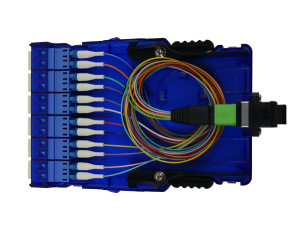 MPO - LC Fiber Cassette - 12C OS2 (UPC) - With Cable