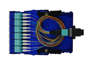 MPO - LC Fiber Cassette - 12C OM3 (UPC) - With Cable