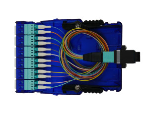 MPO - LC Fiber Cassette - 12C OM3 (UPC) - With Cable