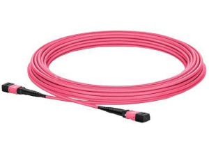 MTP(F-F) 12C OM4 fiber patch cord round type Purple LSZH